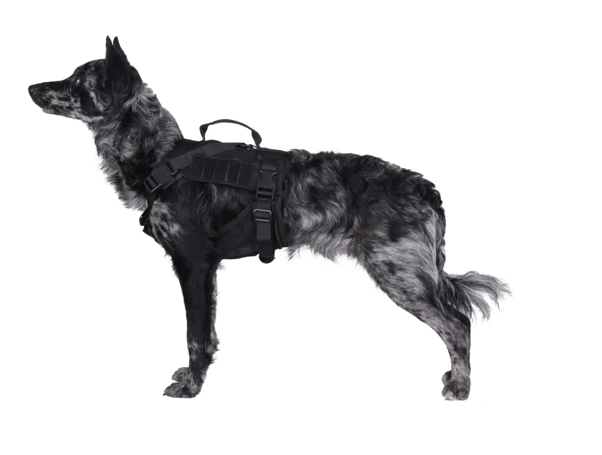 Primal Gear - Pettorina Tactical per Cani - Black - Image 2